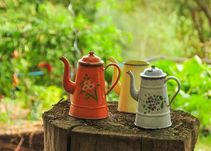 Bed and Breakfast Le Relais Des Fees